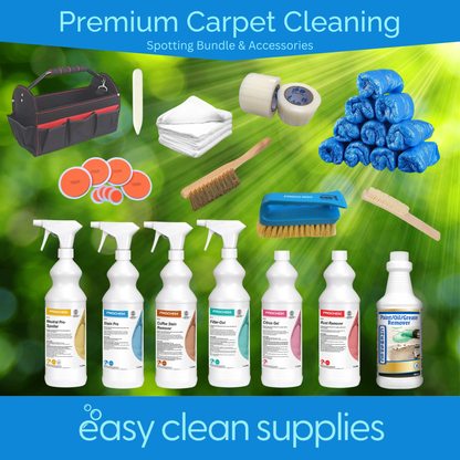 Easy Clean Carpet & Upholstery Cleaning Package - Gold